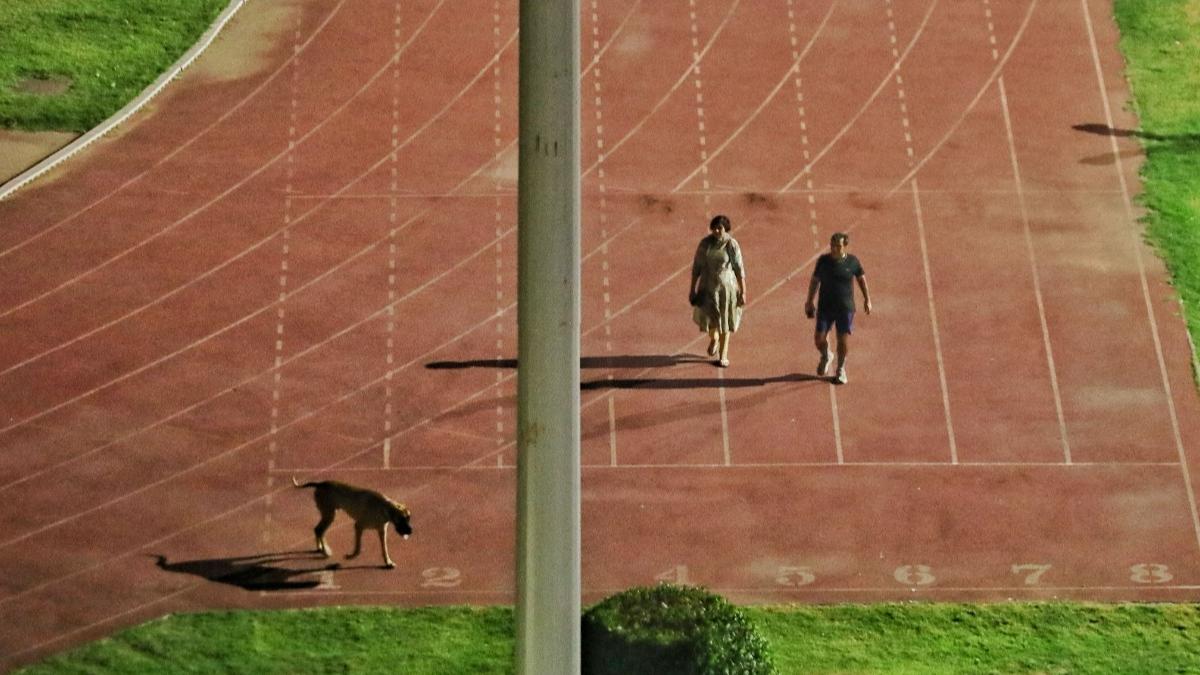 Athletes were not asked to leave early: Admin on row over IAS officer walking dog in Delhi stadium