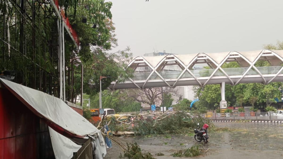 Heavy rainfall with strong winds lash Delhi-NCR, trees uprooted Heavy rainfall with strong winds lash Delhi-NCR, trees uprooted
