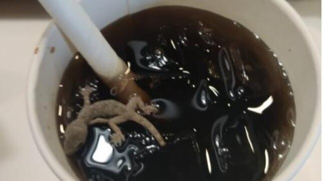 Dead lizard found in cold drink at Ahmedabad McDonald's, civic body seals outlet | Video - Vimarsana News