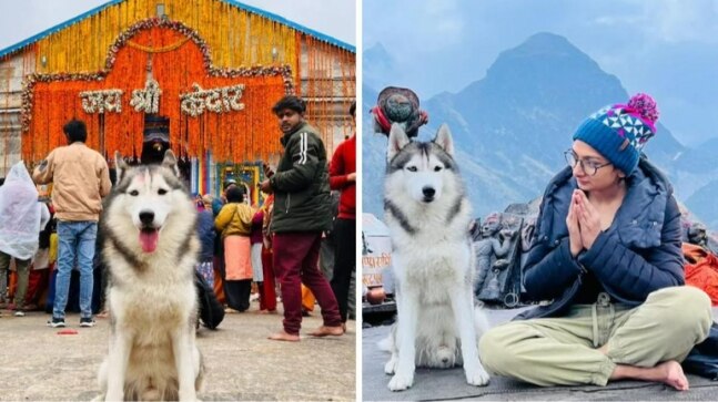 Devotees touched my dog’s feet in Kedarnath, now we are receiving threats, says vlogger