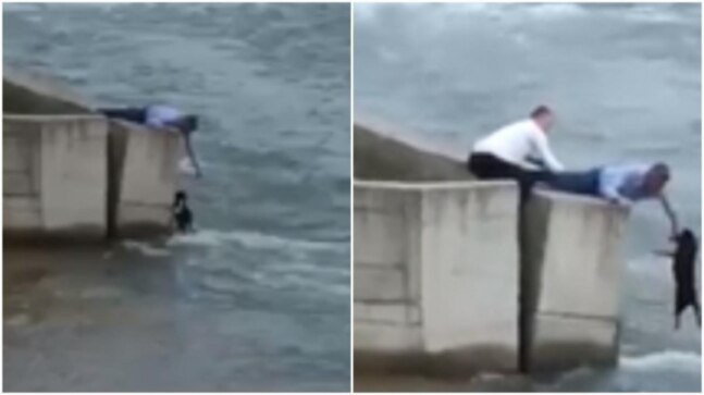 Man skips wedding to rescue dog stuck near overflowing river. Bravo, says Internet
