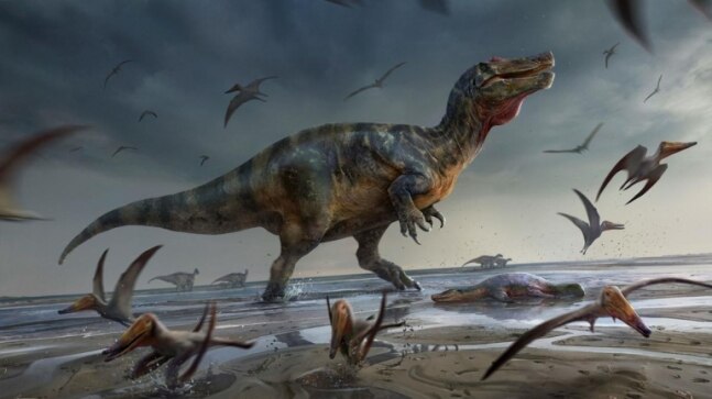 Europe's largest meat-eating dinosaur that lived 125 million years ago found - Vimarsana News