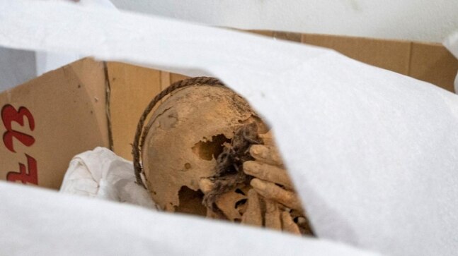 Noble remains found in ancient Inca tomb discovered under home in Peru - Vimarsana News