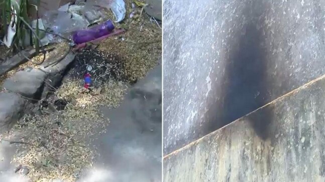 Petrol bombs hurled at temple premises with priest inside amid protest over Prophet row in Ranchi