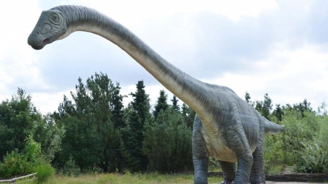 Ready to watch Jurassic World Dominion? Here's what science knows about dinosaurs - Vimarsana News