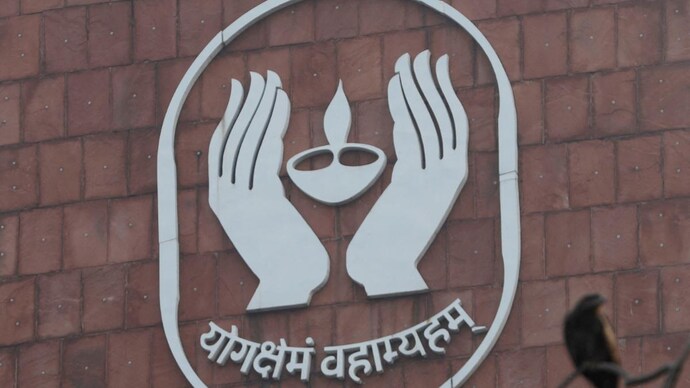 LIC share price plunges Check market cap of insurance behemoth