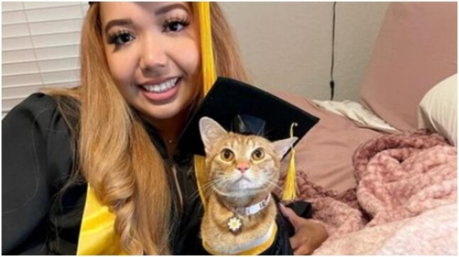 US woman graduates from university along with her feline classmate. Scholar kitty, says Internet - Vimarsana News