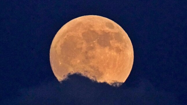 Strawberry supermoon rises tonight: The what, when, and where of this celestial event - Vimarsana News
