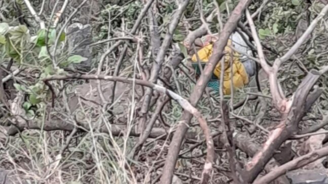 17 killed as bus with Yamunotri pilgrims falls in Uttarakhand gorge - Vimarsana News