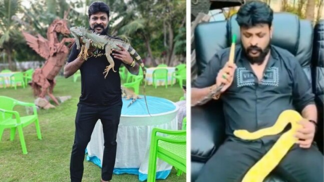 Forest officials recover exotic animals from farmhouse of casino owner Chikoti Praveen under ED lens