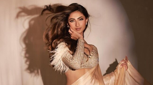 Palak Tiwari posts pics in saree, fan says 'kamaal lag rahi ho aap' - Vimarsana News