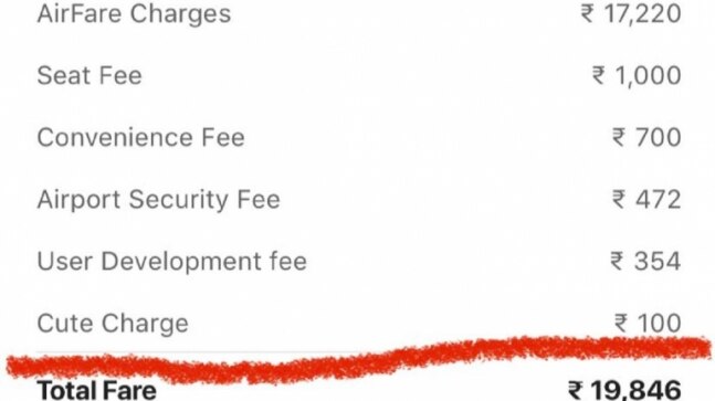 IndiGo charges passenger a 'cute' fee. Internet is confused