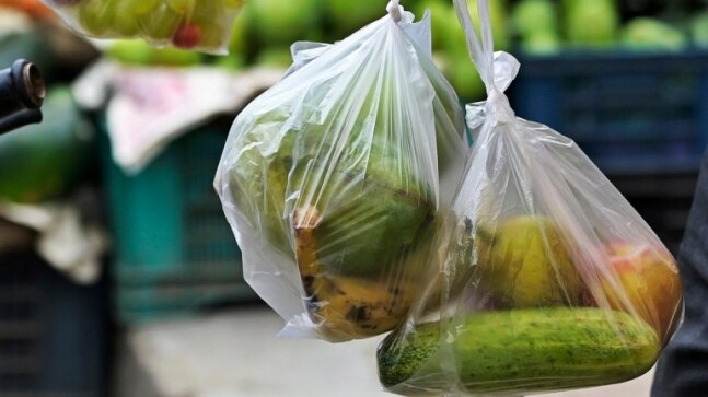 Single-use plastic ban kicks in from today: What you need to know - Vimarsana News