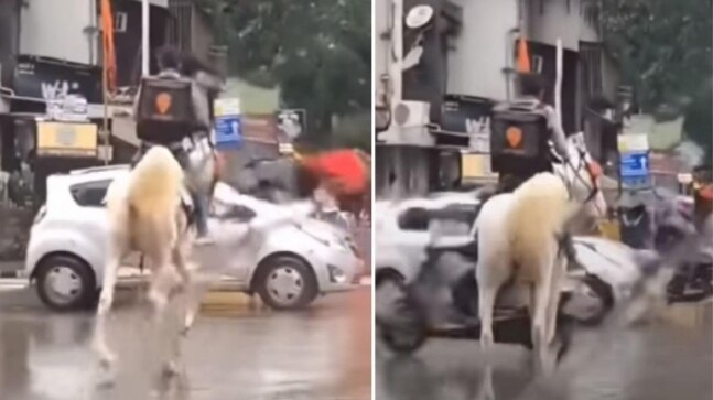 Swiggy will reward you if you can find the delivery man who rode a horse in heavy Mumbai rains - Vimarsana News
