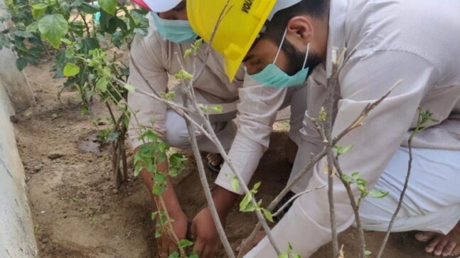 55K plus saplings planted across India on 16th International Tree Plantation Day - Vimarsana News