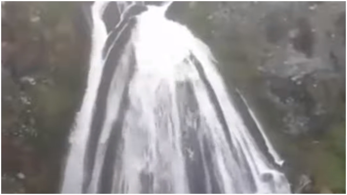 South Indian Bridal Veil Shots That'll Take Your Breath Away