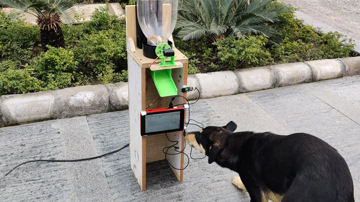 Dog feeder outlet machine