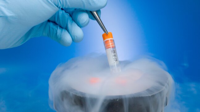 How egg freezing is catching up among Indian women - Vimarsana News