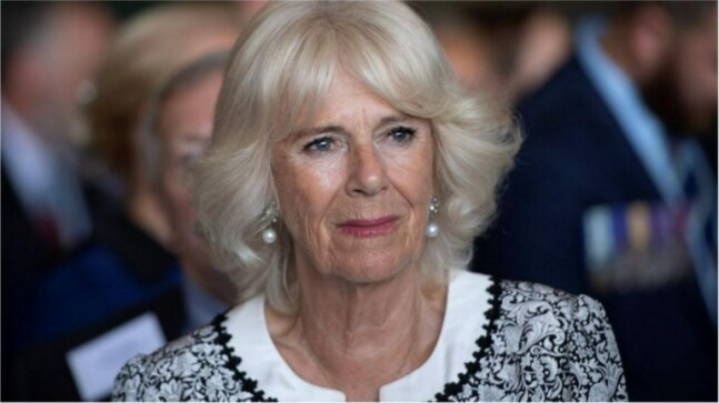 Camilla to be crowned Britain's Queen: Her rise from shadow of Diana - Vimarsana News