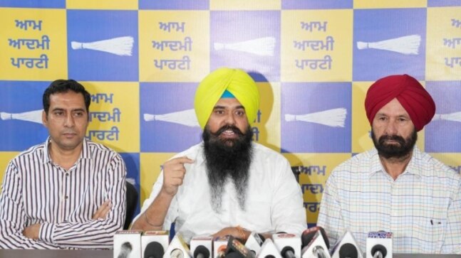 ‘20,000 jobs, war against drugs’: AAP’s 6-month Punjab report card