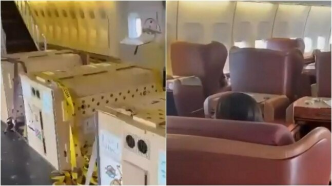 Watch: Inside Boeing jet that flew cheetahs from Namibia to India