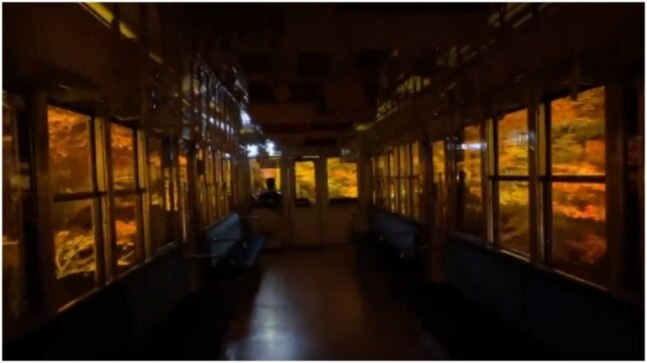 Stunning video shows train in Japan travelling through the ‘Maple tunnel’. That’s Narnia, say netizens