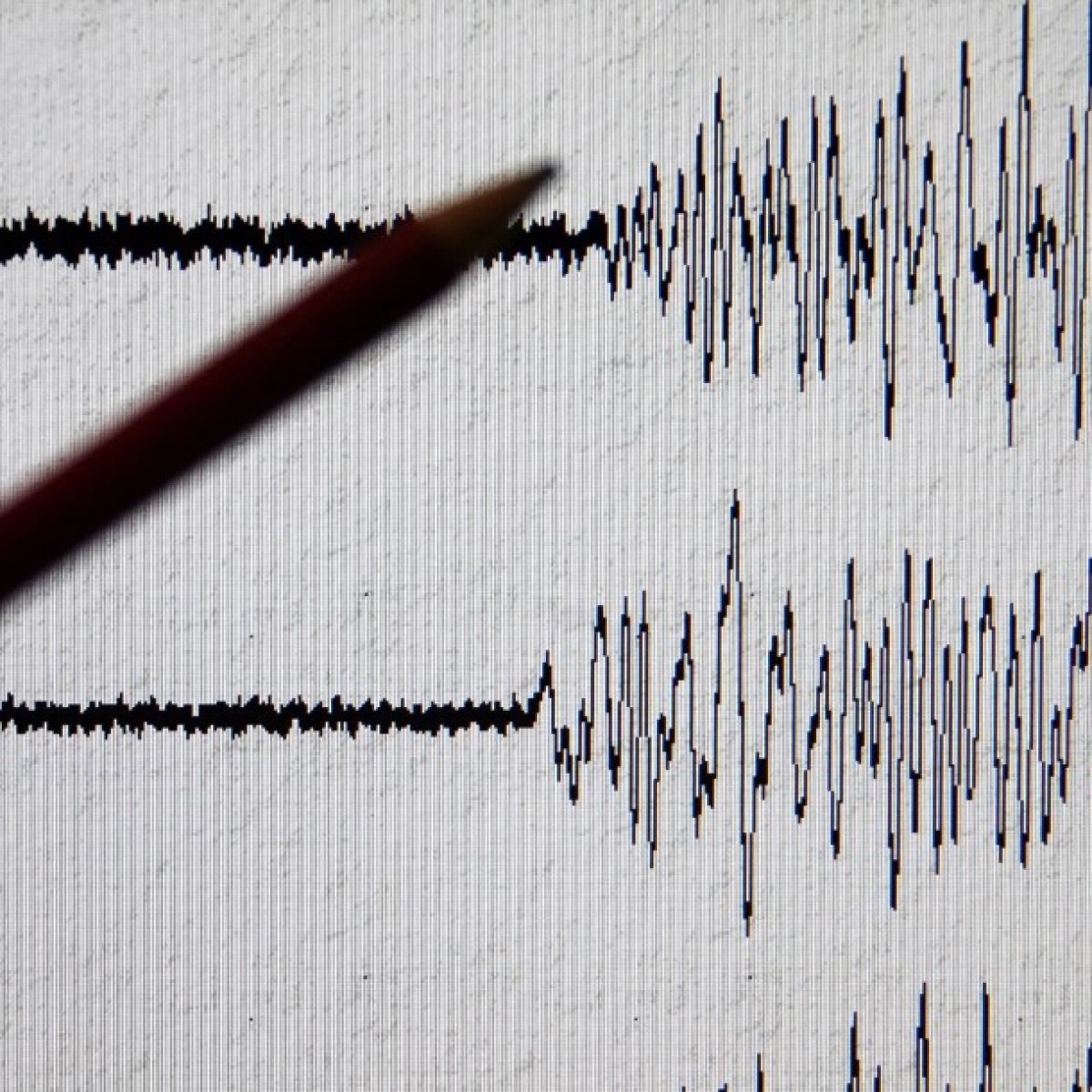 Seismograph.jpg