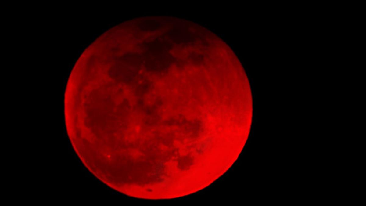 Total Lunar Eclipse on Nov 7 Why will Moon appear blood red? India Today