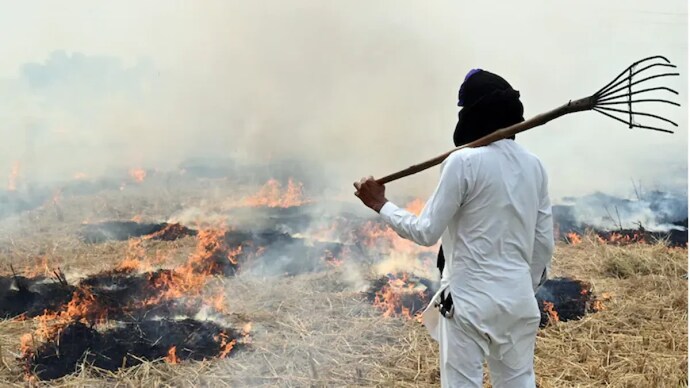 Stubble burning in the neighbouring states of Punjab and Haryana takes a toll on Delhi-NCR's air quality. (Photo: AFP)