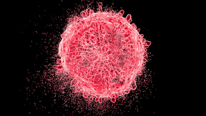 WHO to identify viruses that could cause future pandemics. Disease X is on priority list - India Today