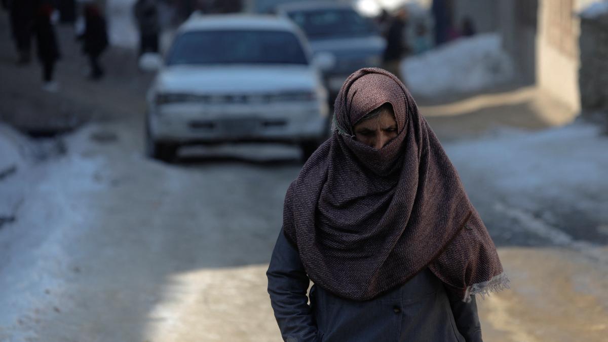 संयुक्त राष्ट्र के शीर्ष अधिकारी अफगानिस्तान में महिलाओं पर प्रतिबंध को 'पानी कम' करना चाहते हैं