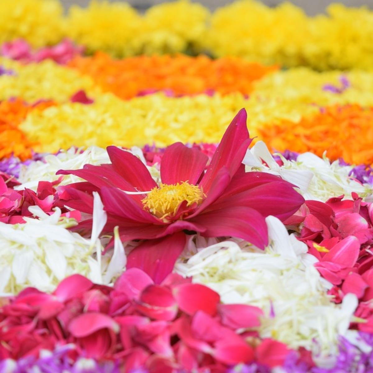 When is Onam 2023: Thiruvonam date, time and, significance - India Today
