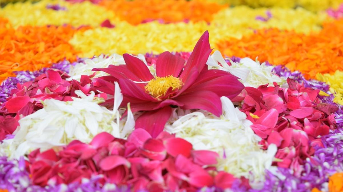 When Is Onam 2023 Thiruvonam Date Time And Significance India Today When Is Onam 2023 Thiruvonam Date Time And Significance India Today