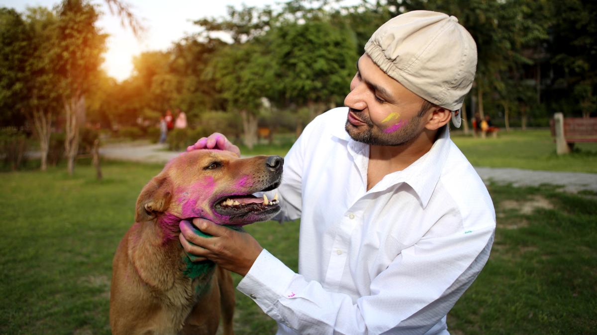 This Holi, take preventive measures to make it safer for your pets.