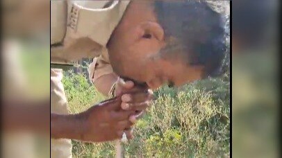 Video shows Madhya Pradesh cop performing CPR on snake that ingested pesticides. (Image courtesy: X)