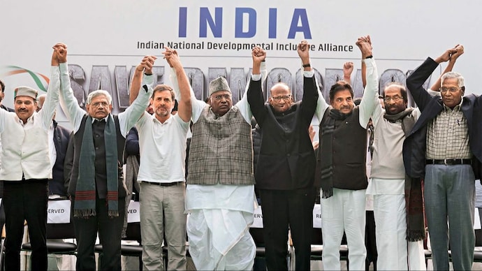 Opposition MPs of the INDIA bloc protest at Jantar Mantar, Dec. 22; (Photo: PTI)