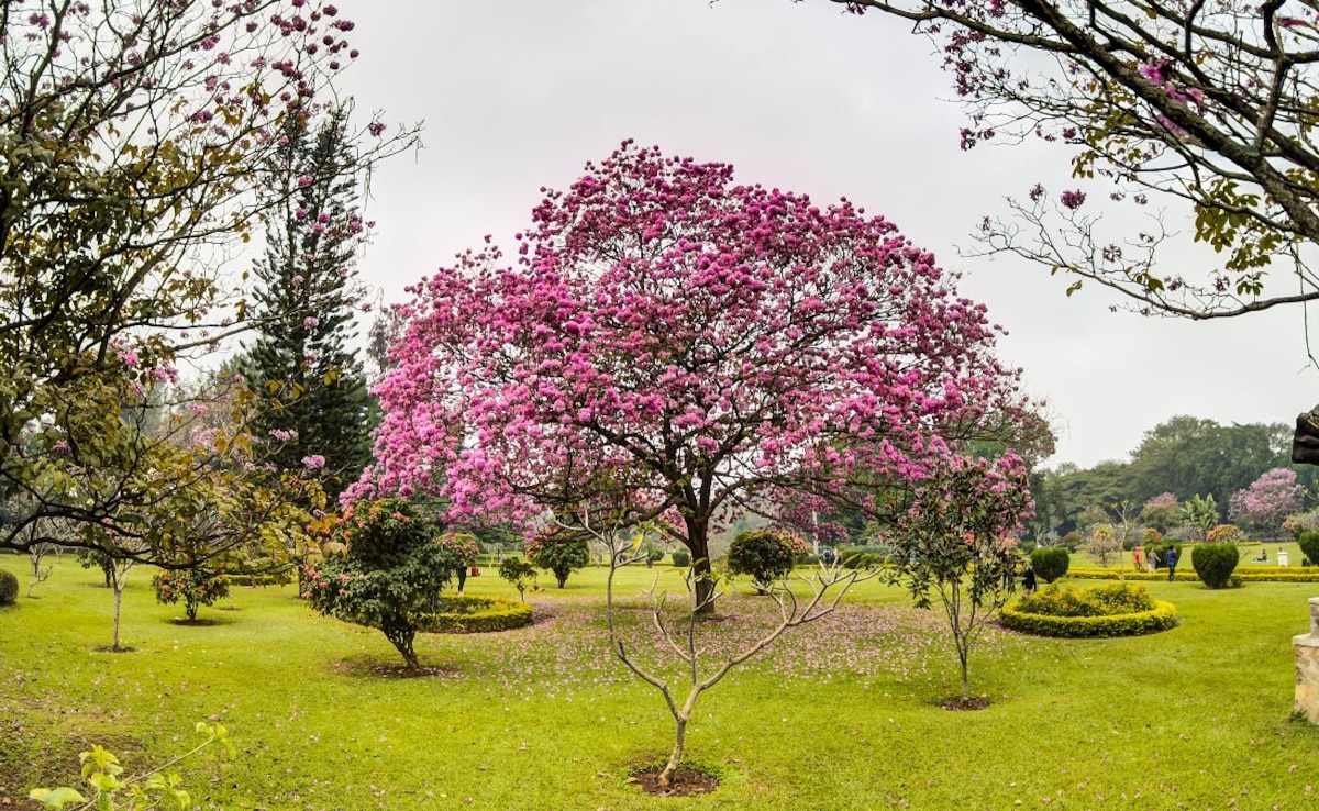 Latest and Breaking News on NDTV Latest and Breaking News on NDTV