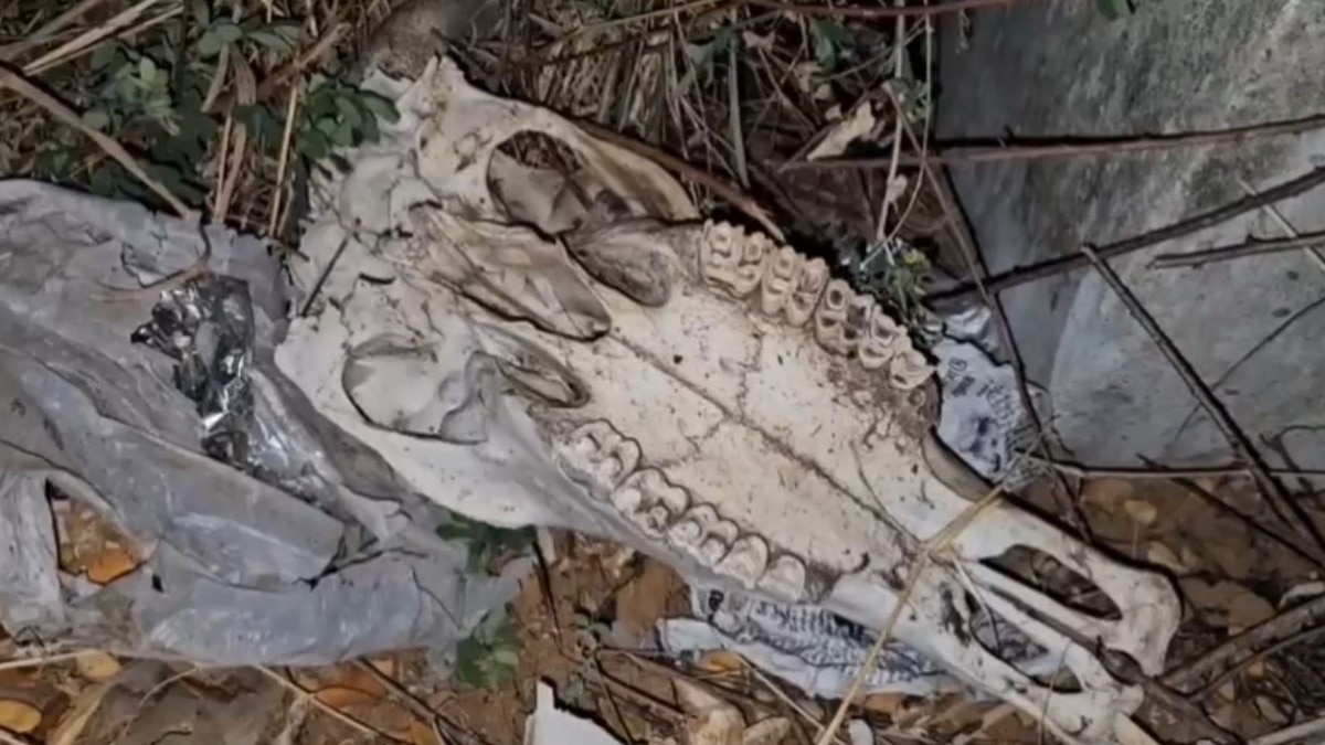 Cattle skull, boulders found on railway track in Tamil Nadu's Kanniyakumari