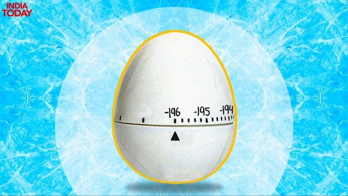 The challenges of egg freezing that no one told you about