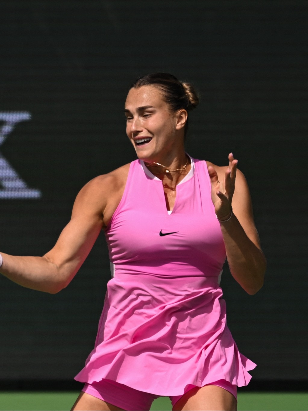 sabalenka pink dress A Dress Made of Three Million Feathers