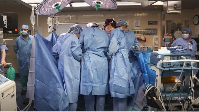 सूअर की किडनी की गई थी प्रत्यारोपित, दो माह बाद मरीज की मौत
Kidney Transplantation of Pig in Human Pig kidney was transplanted, patient died after two months