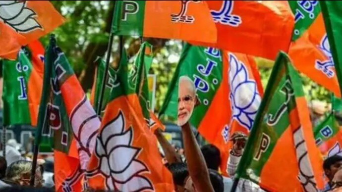 BJP said that an attempt was made by Usman Ghani to "tarnish" the image of party in the media.