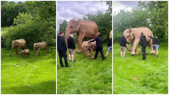 Boris Johnson celebrated his 60th birthday with wooden Indian elephants gifted by his wife Boris Johnson celebrated his 60th birthday with wooden Indian elephants gifted by his wife