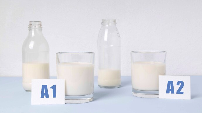 A1 and A2 are specific proteins found in cow's milk, although their proportions vary depending on the breed of cattle. (Photo: Getty Images) Two bottle and glass milk different types.A1 and A2 milk variety