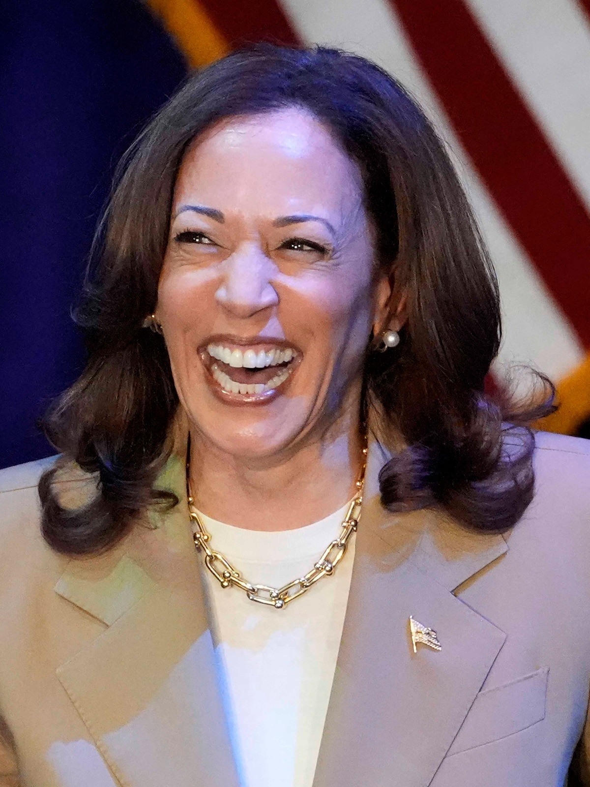 us-vice-president-and-democratic-presidential-candidate-kamala-harris-speaks-during-a-campaign-fundr-272024220-3x4.jpg