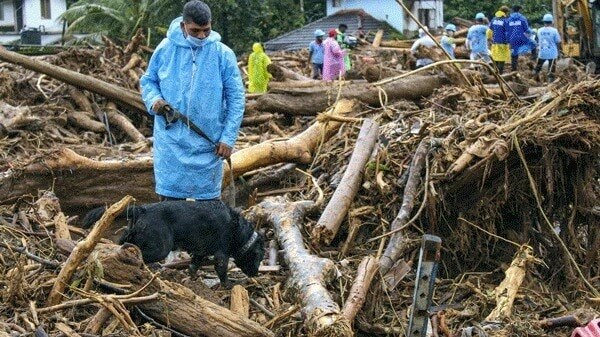 Search for bodies, remains continues in Wayanad a week after landslide