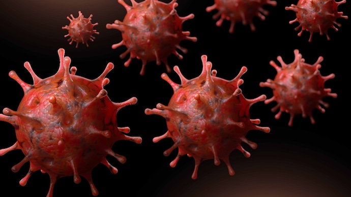 XEC is a combination of subtypes of the Omicron lineage. (Photo: Getty Images) XEC is a combination of subtypes of the Omicron lineage.