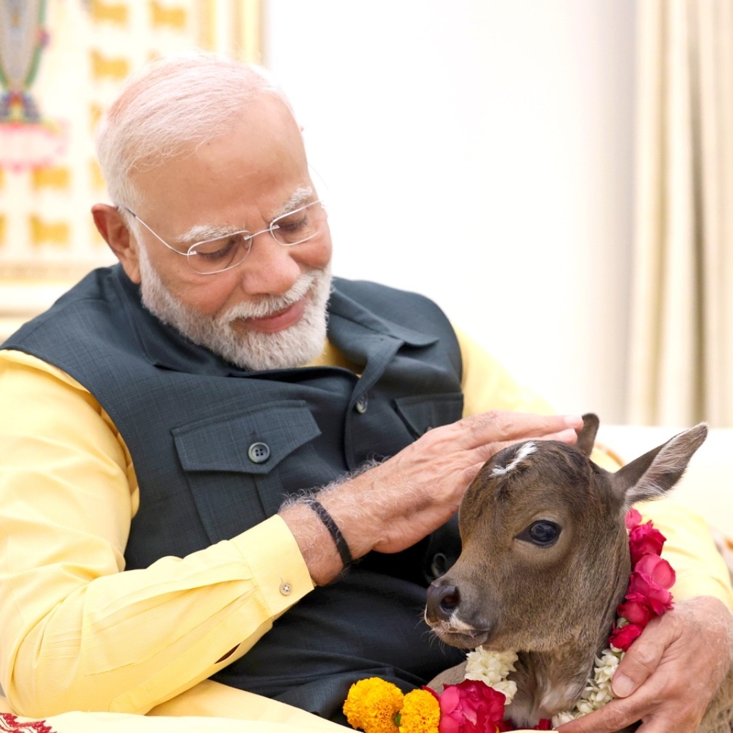 PM Narendra Modi welcomes new member to his residence, shares video - India Today