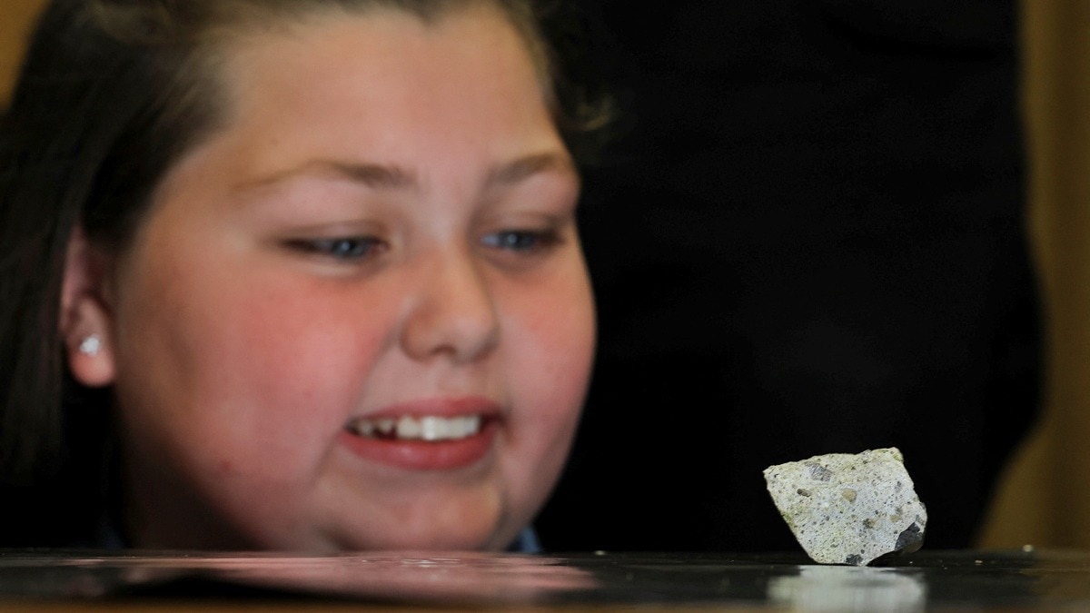 South African scientists unveil part of meteorite found by 9-year-old ...