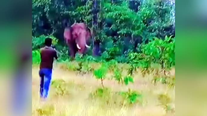 Maharashtra man gets trampled to death by wild elephant. Maharashtra man gets trampled to death by wild elephant.